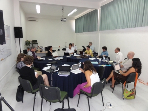 Working group on the Mexican based risk and vulnerability network