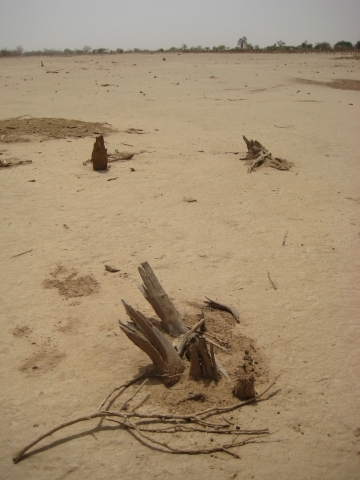 Man made desert in West Africa